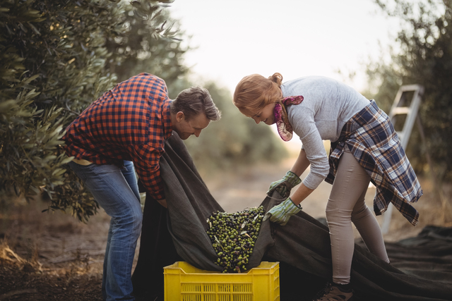 Olio extravergine di oliva